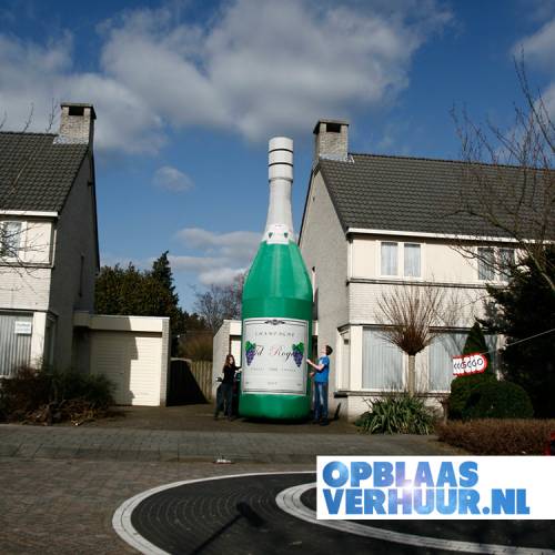 Champagnefles 7.0m afbeelding 2